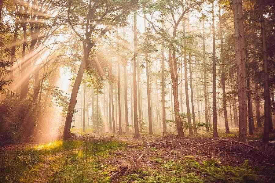 電(diàn)竞解说大(dà)賽(sài)圆满结束(shù)，新(xīn)聲(shēng)力(lì)量为電(diàn)竞添彩