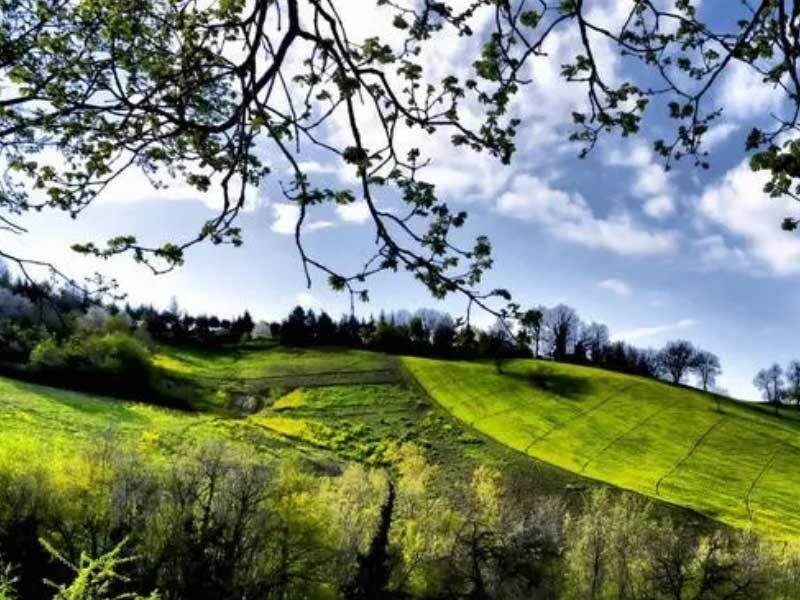 电競(jìng)选手在国际賽(sài)事中斩获佳绩